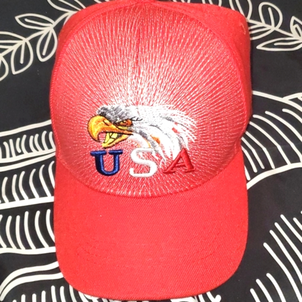 USA Bald  Eagle baseball hat
